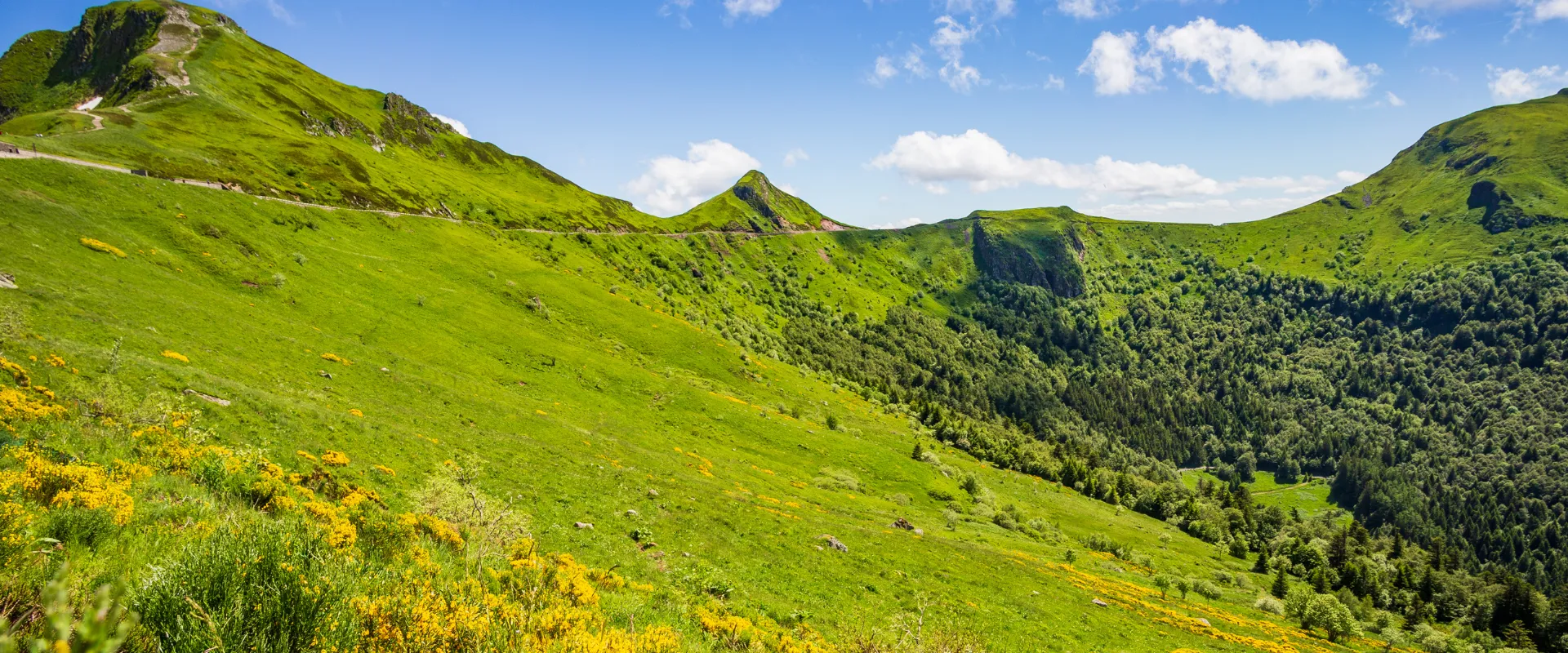 Vallée verdoyante du Cantal avec prairies, forêts de conifères et pics rocheux sous ciel bleu.