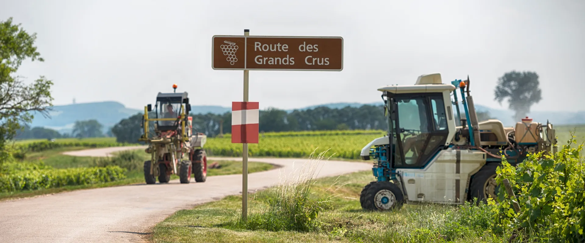 Route des Grands Crus en Côte-d'Or avec vignes et tracteurs agricoles dans le paysage