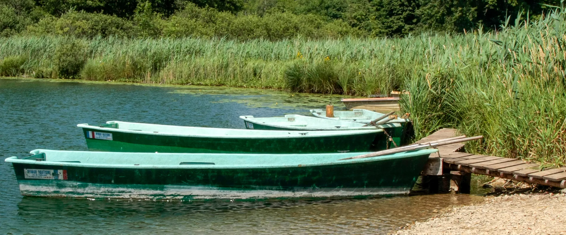 Trois barques vertes amarrées au bord d'un lac calme entouré de roseaux.