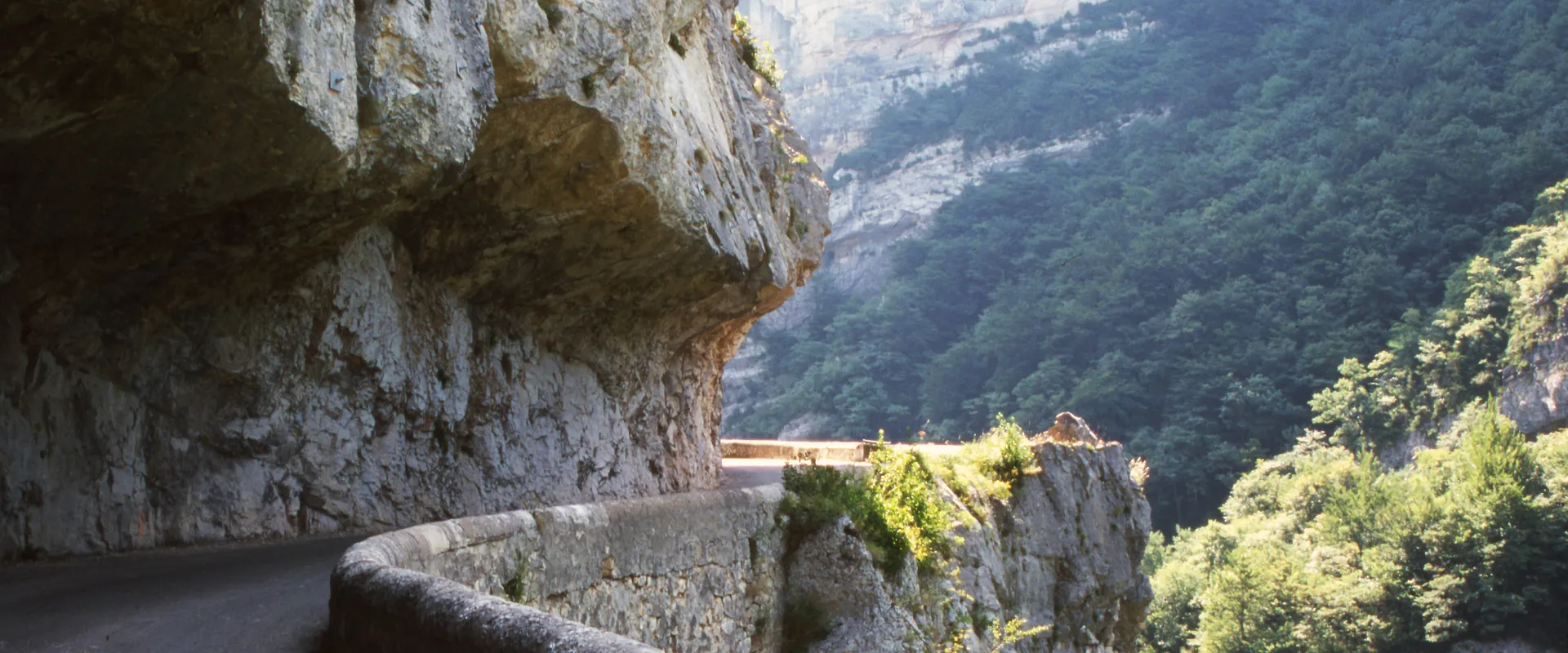 Route sinueuse creusée dans falaise calcaire, gorges forestières verdoyantes en arrière-plan.