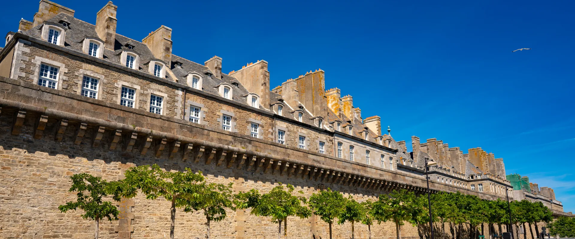 Façade en pierre dorée de bâtiments historiques avec mansardes et arbres alignés.