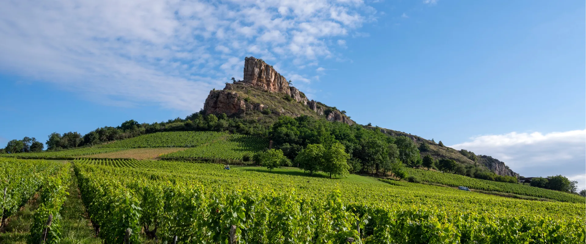 Roche de Solutré avec vignobles verts en Bourgogne, Saône-et-Loire.