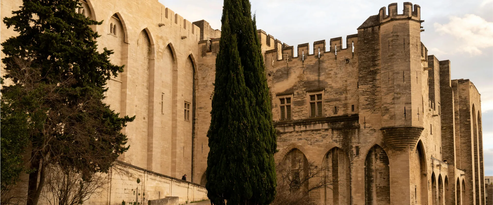 Château médiéval en pierre avec remparts crénelés et cyprès dans le Vaucluse.