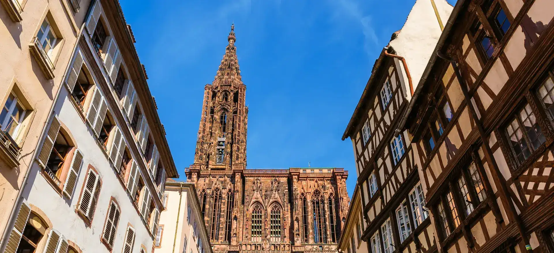 Toits de tuiles plates alsaciennes avec panneaux solaires, vue sur Strasbourg vallonnée